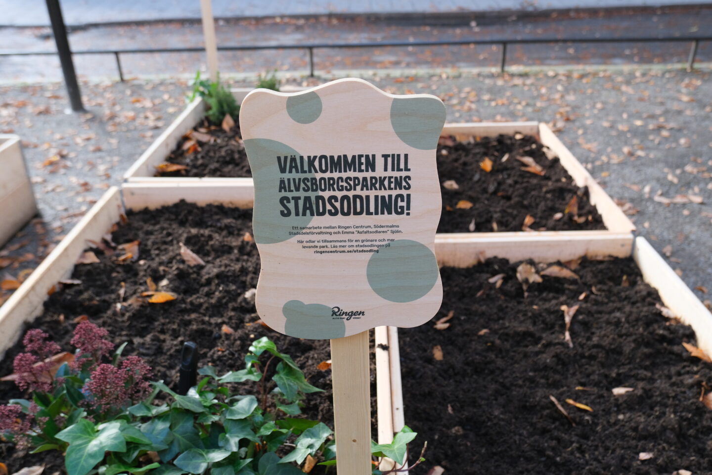 Älvsborgsparkens stadsodling