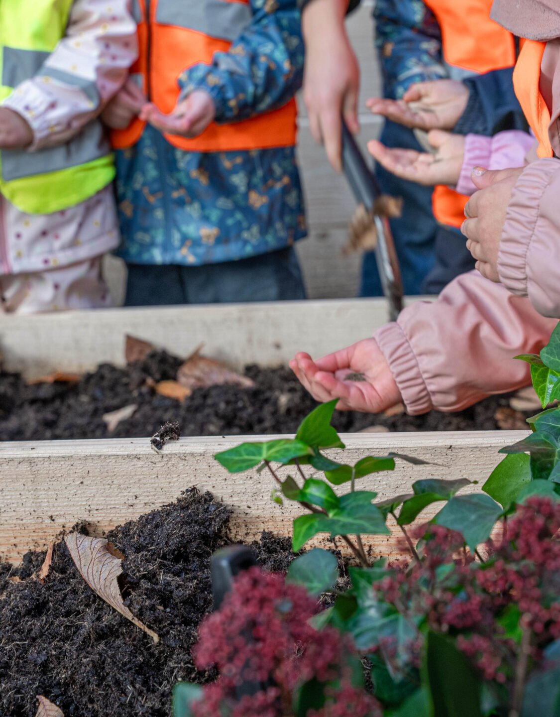 Älvsborgsparkens stadsodling