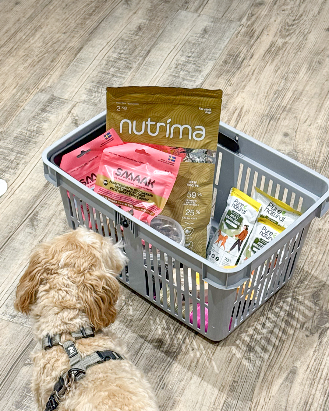 Foder hund och katt Arken Zoo